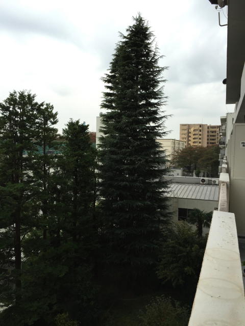 馬事公苑前住宅　眺望