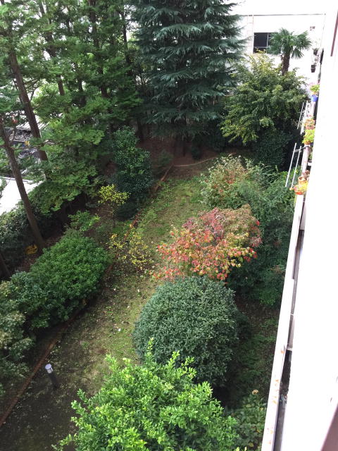 馬事公苑前住宅　眺望