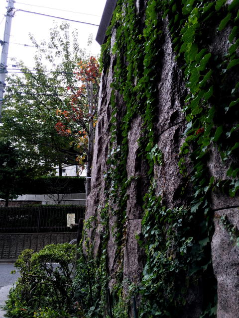 クレアール余丁町　周辺環境