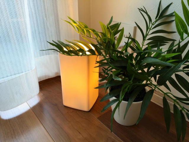 クレアール余丁町　洋室