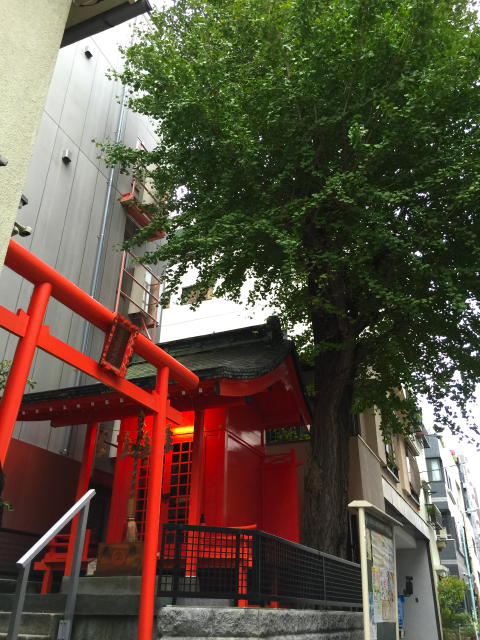 パロス新富町　周辺環境