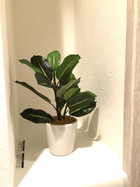 パロス新富町　トイレ