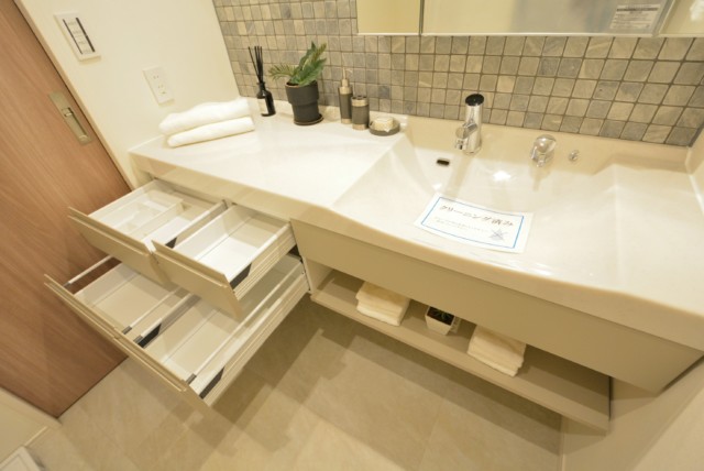 藤和青葉台コープ 洗面室