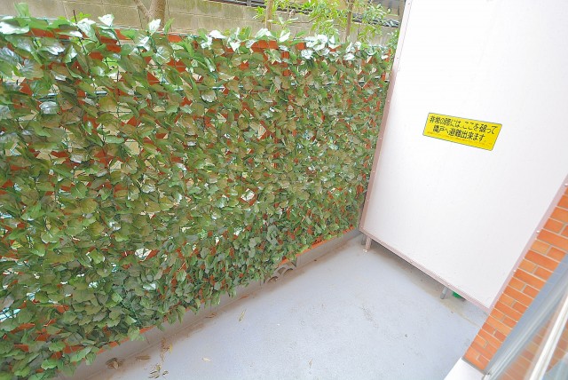 MSマンション阿佐谷 バルコニー