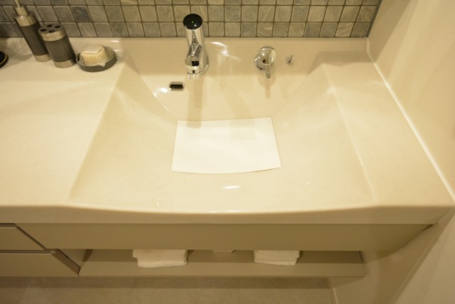 藤和青葉台コープ 洗面室