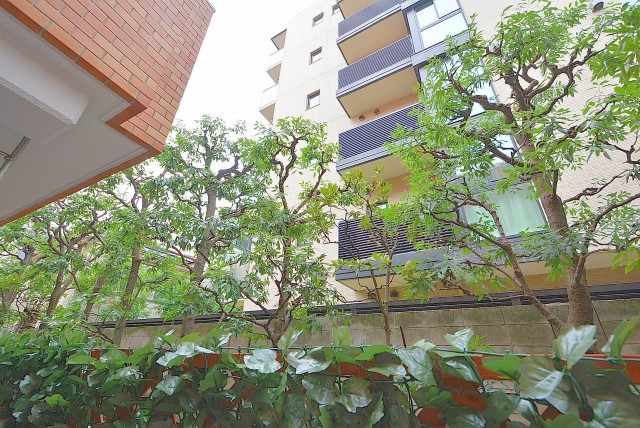 MSマンション阿佐谷 バルコニー