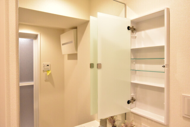 ダイアパレス麻布十番 洗面室