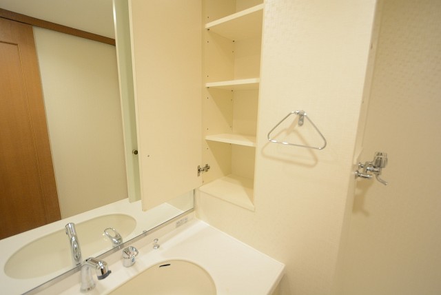 高田馬場パークハウス弐番館 洗面