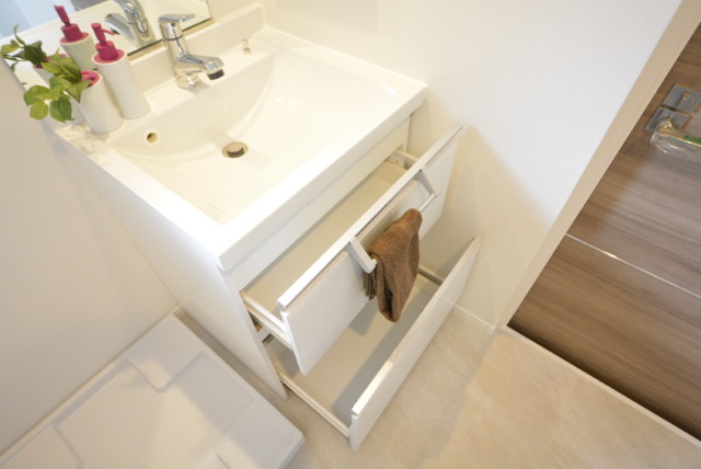 メガロン御殿山 洗面室