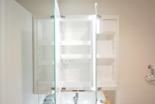 藤和薬王寺ホームズ 洗面室