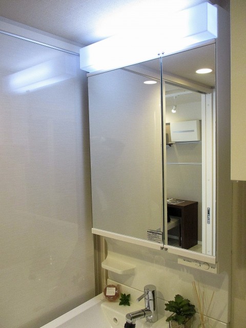 ライオンズマンション高井戸 洗面