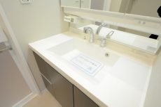 パークハイム上馬 洗面