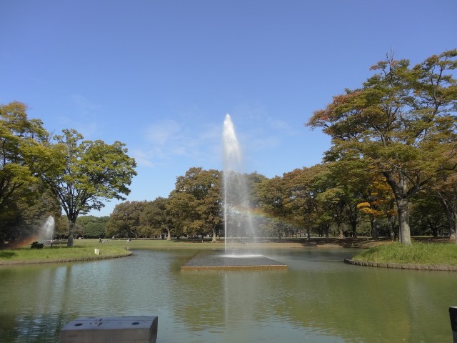 ジェントルエア神宮前　代々木公園