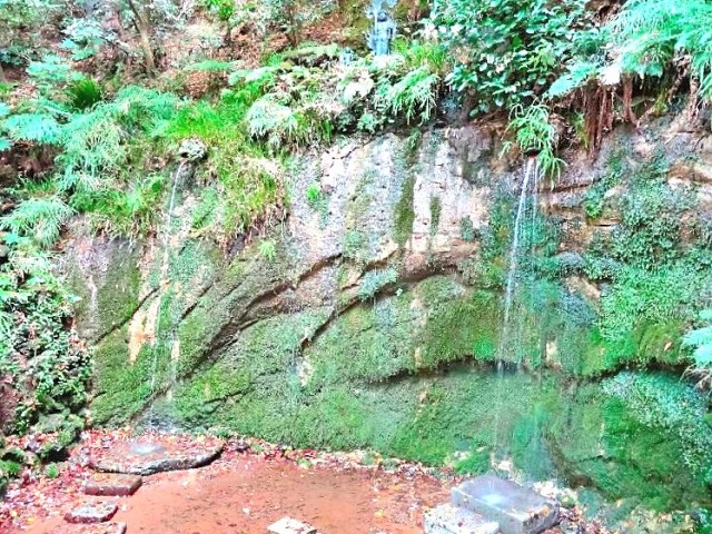 メイゾン等々力　等々力渓谷