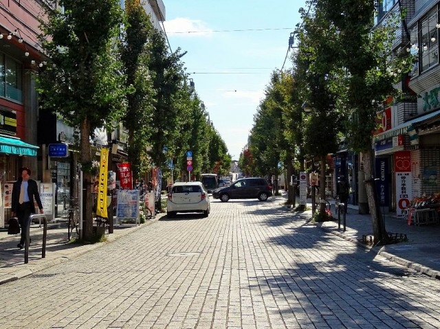 サンウッド尾山台　尾山台商店街
