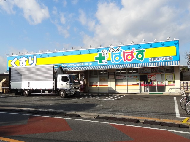 メイゾン等々力　ドラッグストア