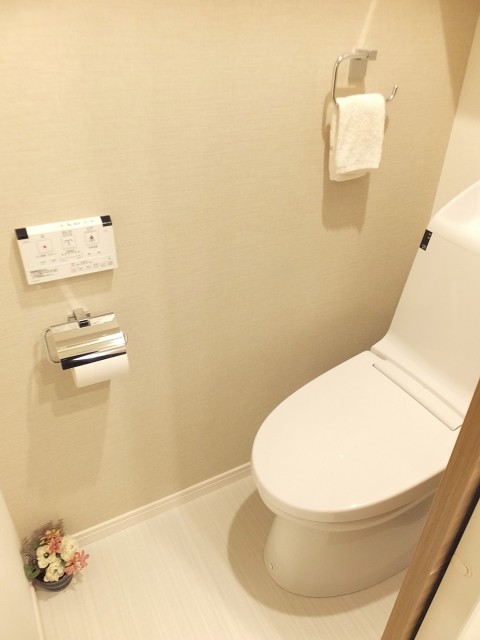 セブンスターマンション第二日本橋　トイレ