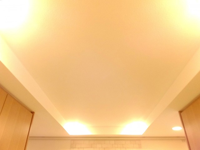 市谷逢坂ハウス　玄関天井