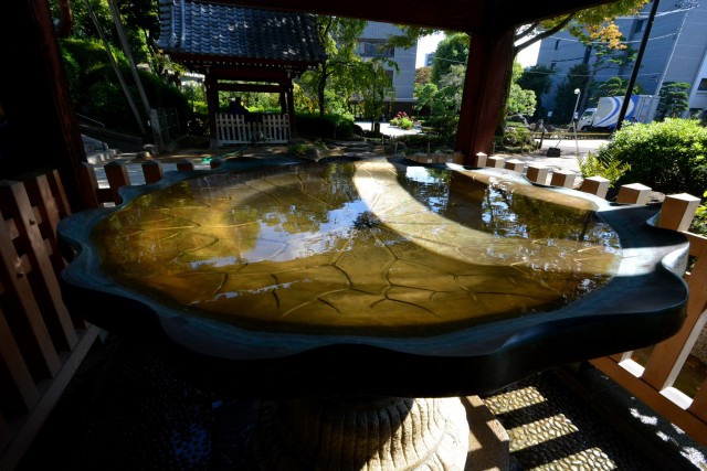 藤和シティコープ音羽　周辺環境　護国寺