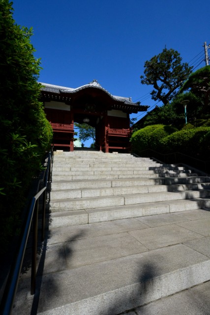藤和シティコープ音羽　周辺環境　護国寺