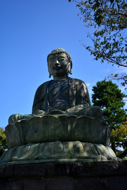 藤和シティコープ音羽　周辺環境　護国寺