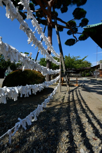藤和シティコープ音羽　周辺環境　護国寺