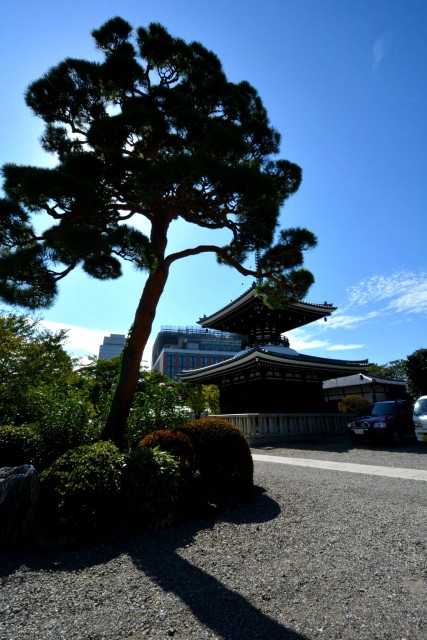 藤和シティコープ音羽　周辺環境　護国寺