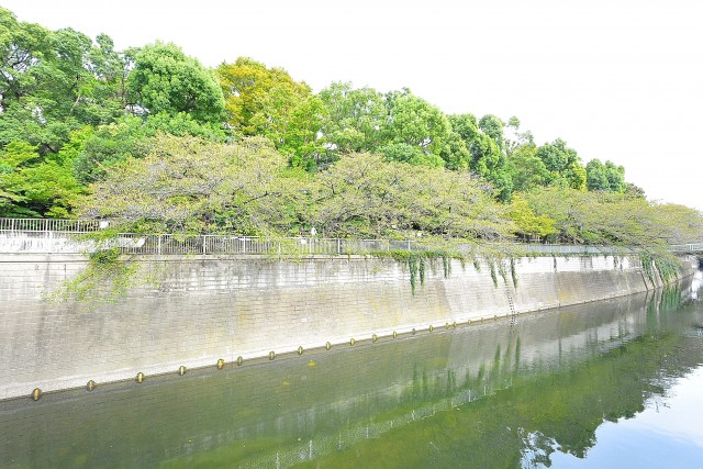 フジタ関口マンション　神田川