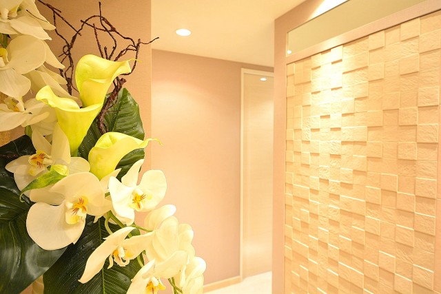 ダイアパレス麻布十番　玄関ホール