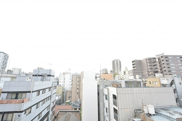 ダイアパレス麻布十番　5.0帖のベッドルームの眺望