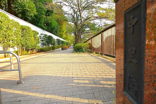 セザール第2目黒三田　目黒川歩道