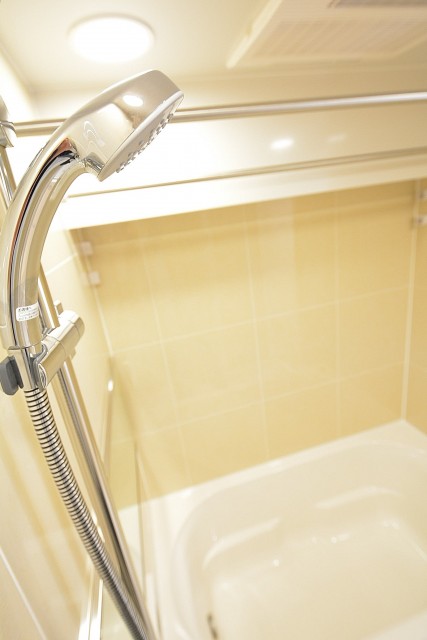 ダイアパレス麻布十番　バスルーム設備