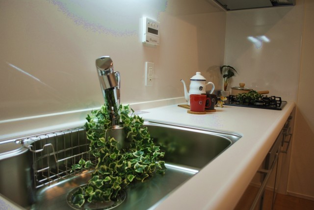 協栄メゾン代々木　キッチン