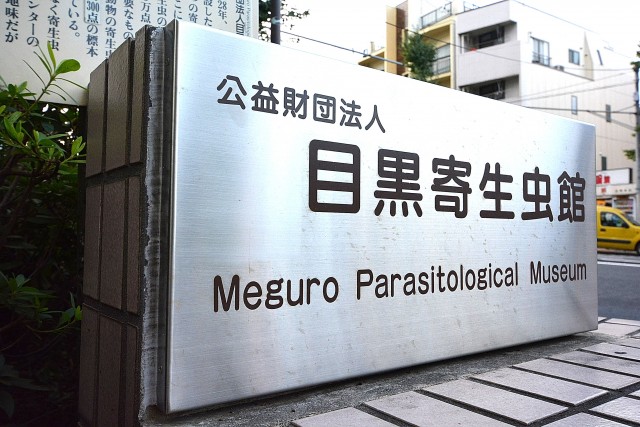 目黒コーポラス　周辺環境