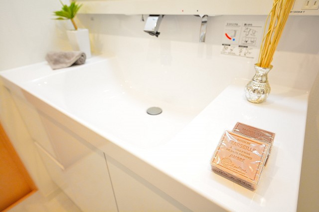 フジタ関口マンション　洗面台　501