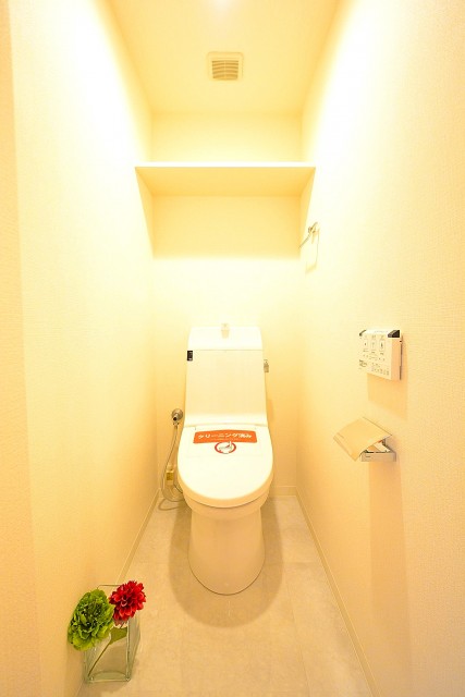 フジタ関口マンション　トイレ　501