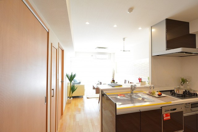 フジタ関口マンション　12.5帖のLDK　501