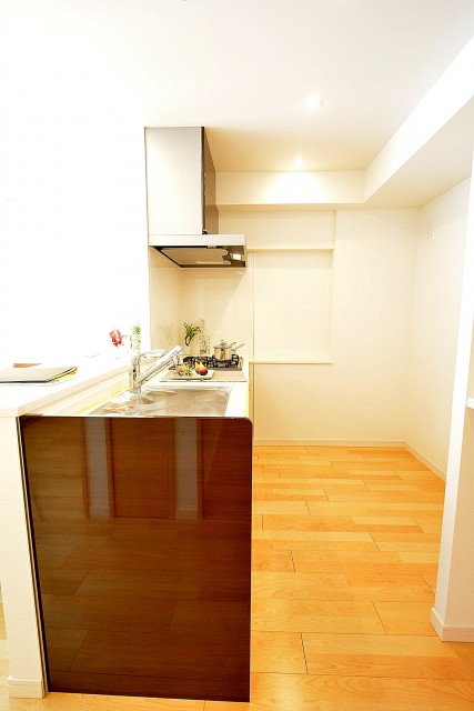 フジタ関口マンション　キッチン　501