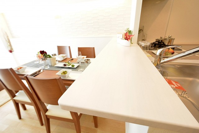 フジタ関口マンション　キッチン　501