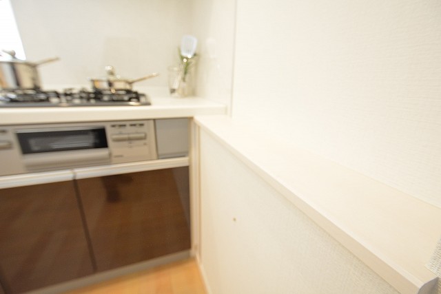 フジタ関口マンション　キッチン　501