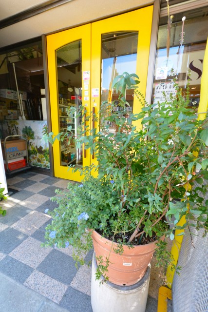 藤和シティコープ音羽　周辺環境