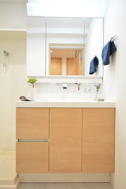 エクセルハイツ大井仙台坂　洗面化粧台