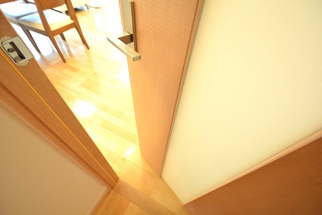 エクセルハイツ大井仙台坂　LDK扉