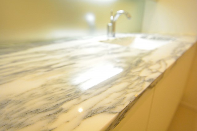 赤城神社・パークコート神楽坂　洗面台