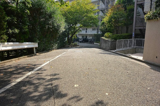 エクセルハイツ大井仙台坂　前面道路