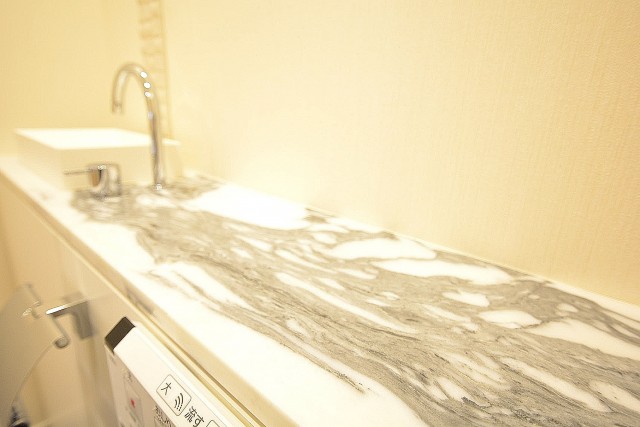 赤城神社・パークコート神楽坂　トイレのカウンター