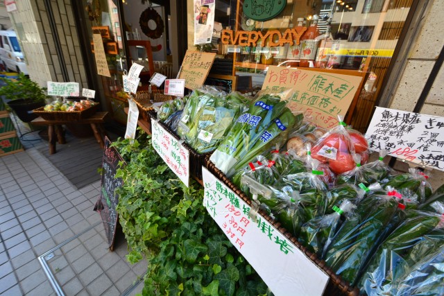 藤和シティコープ音羽　周辺環境