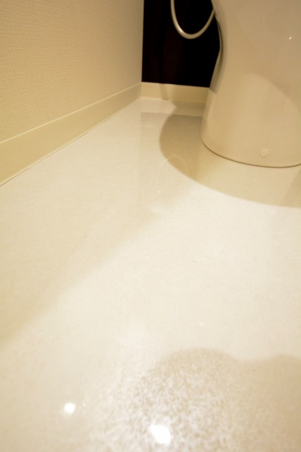 カーサ一番町　トイレ床