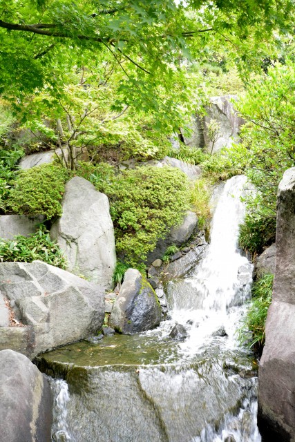 プチモンド目白　周辺環境　目白庭園