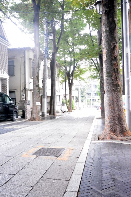 プチモンド目白　周辺環境　鬼子母神